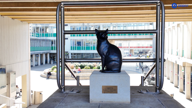 Magician E6 Empowers Robotics Research at Essex University